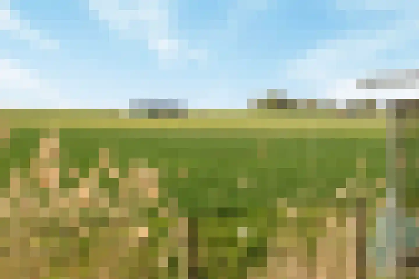 Schenkeldijk 80 Zuid-Beijerland thumbnail 73