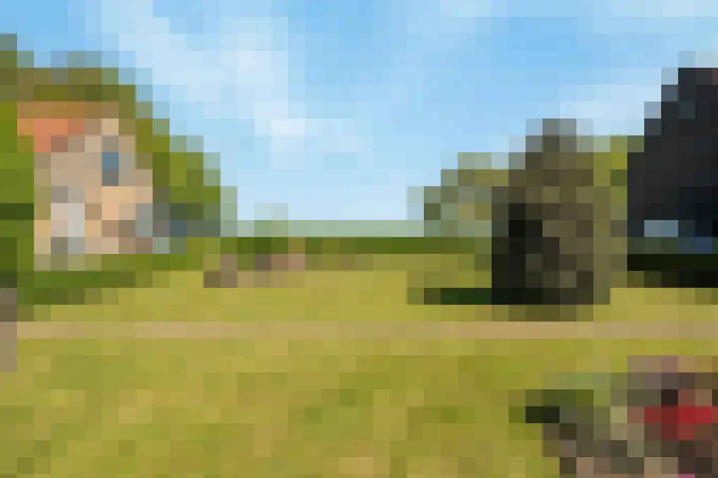 Schenkeldijk 80 Zuid-Beijerland thumbnail 74