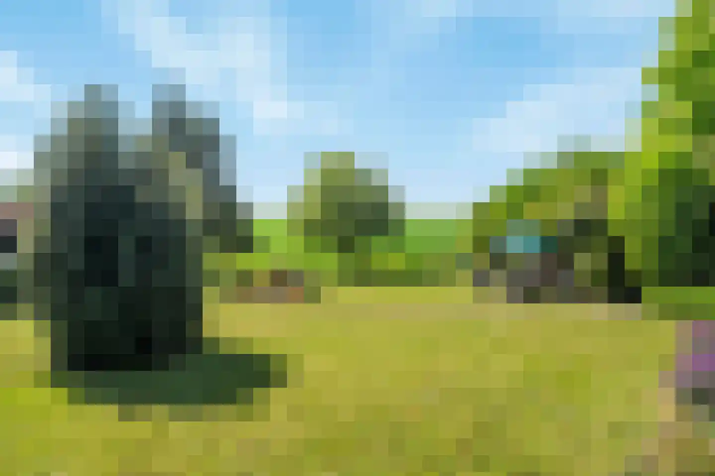Schenkeldijk 80 Zuid-Beijerland thumbnail 75