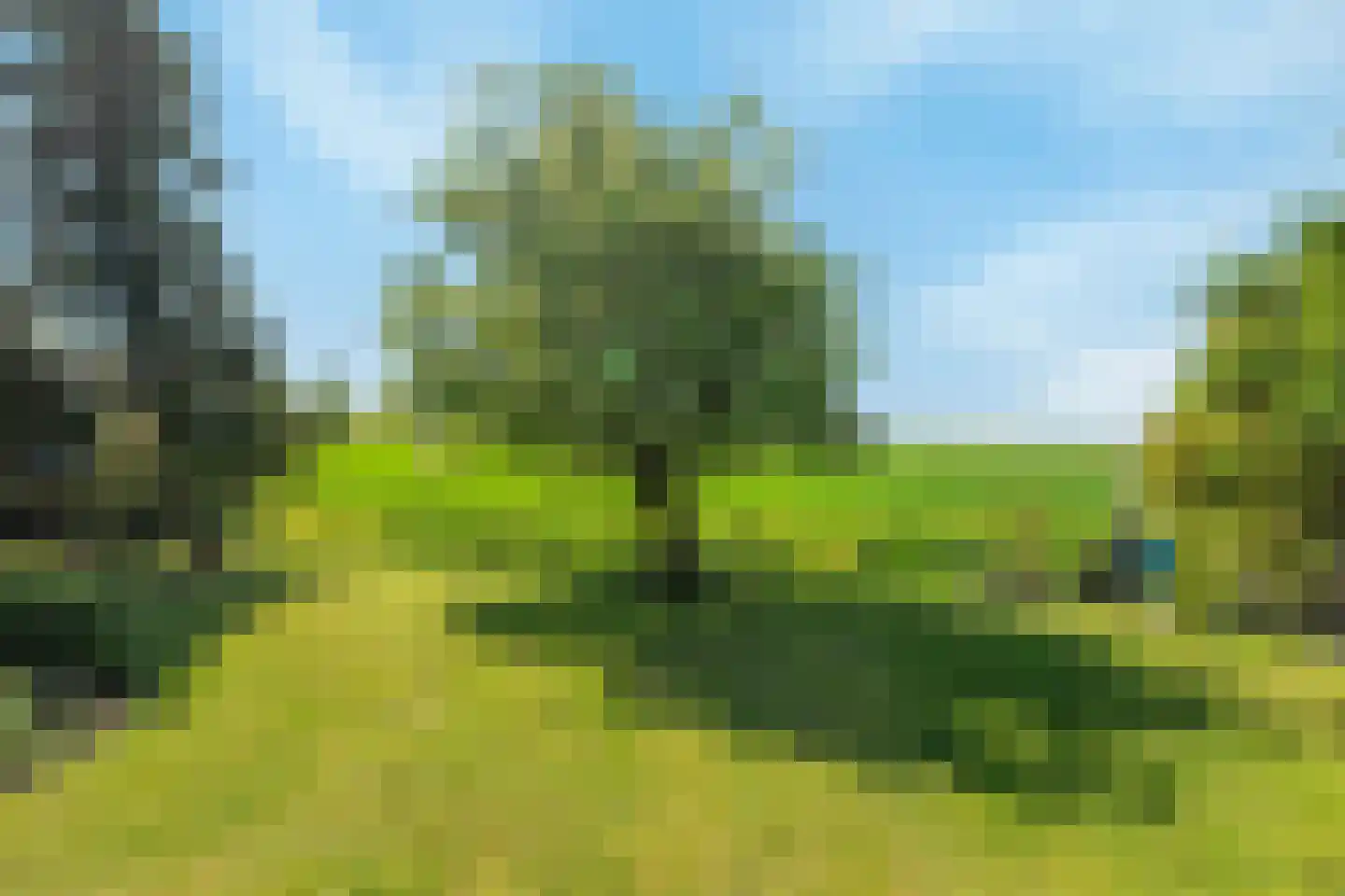 Schenkeldijk 80 Zuid-Beijerland thumbnail 76
