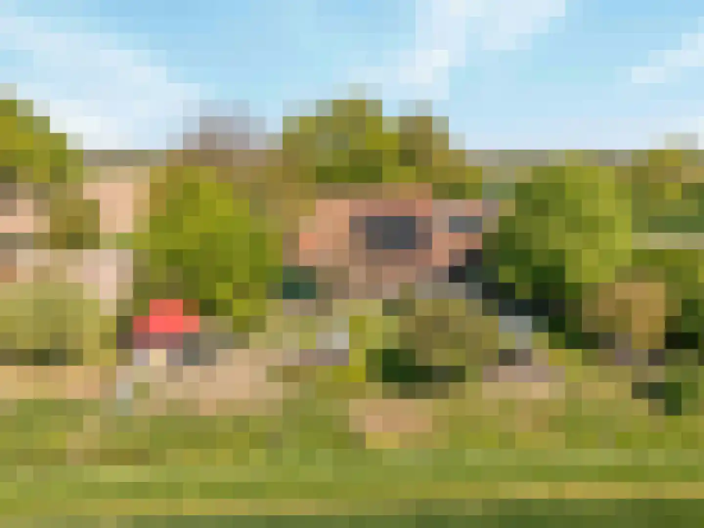 Schenkeldijk 80 Zuid-Beijerland thumbnail 78