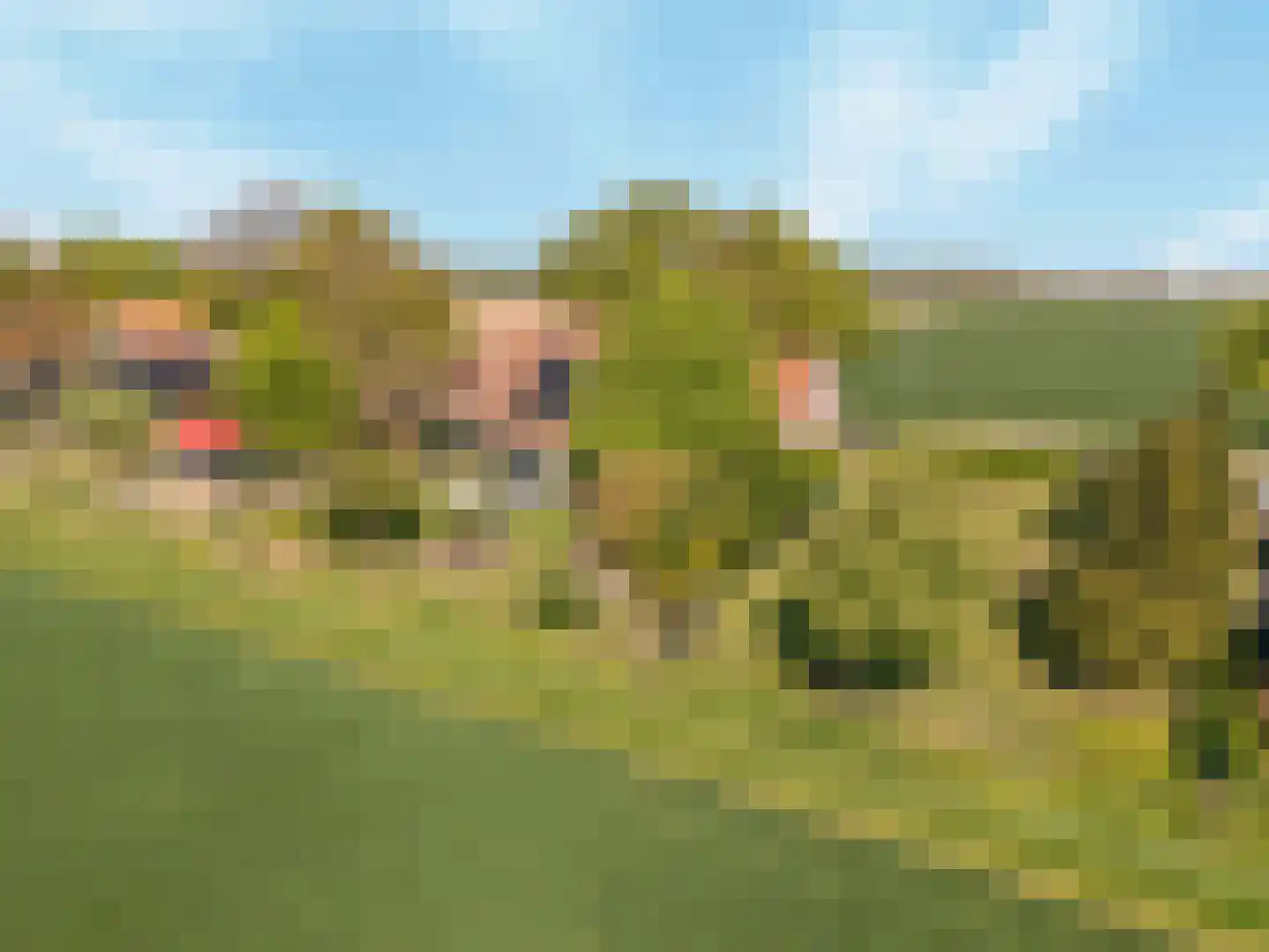 Schenkeldijk 80 Zuid-Beijerland thumbnail 82