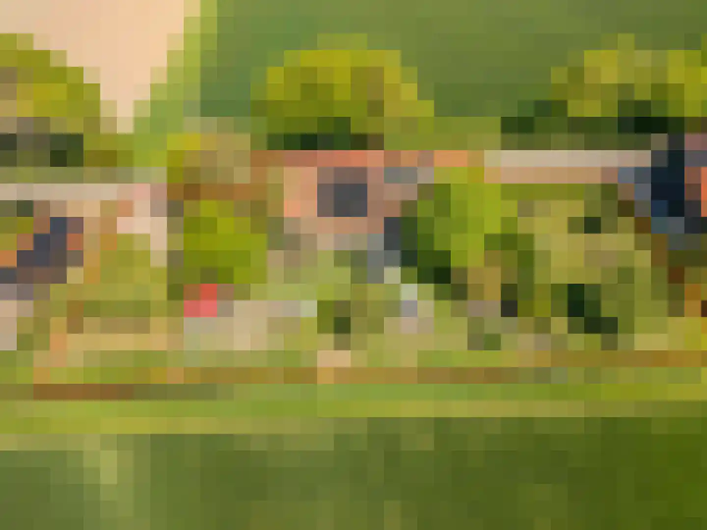 Schenkeldijk 80 Zuid-Beijerland thumbnail 84