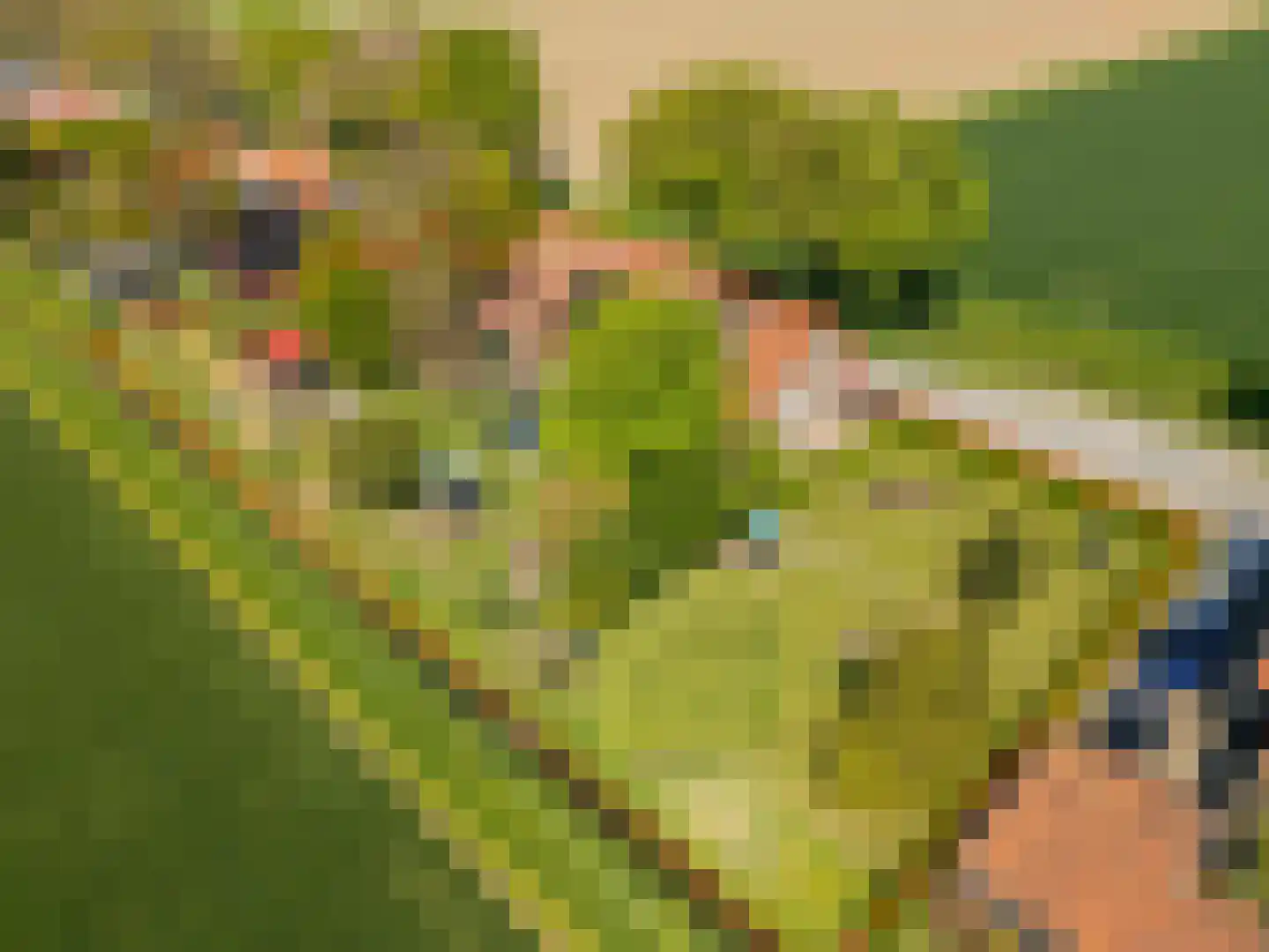 Schenkeldijk 80 Zuid-Beijerland thumbnail 85