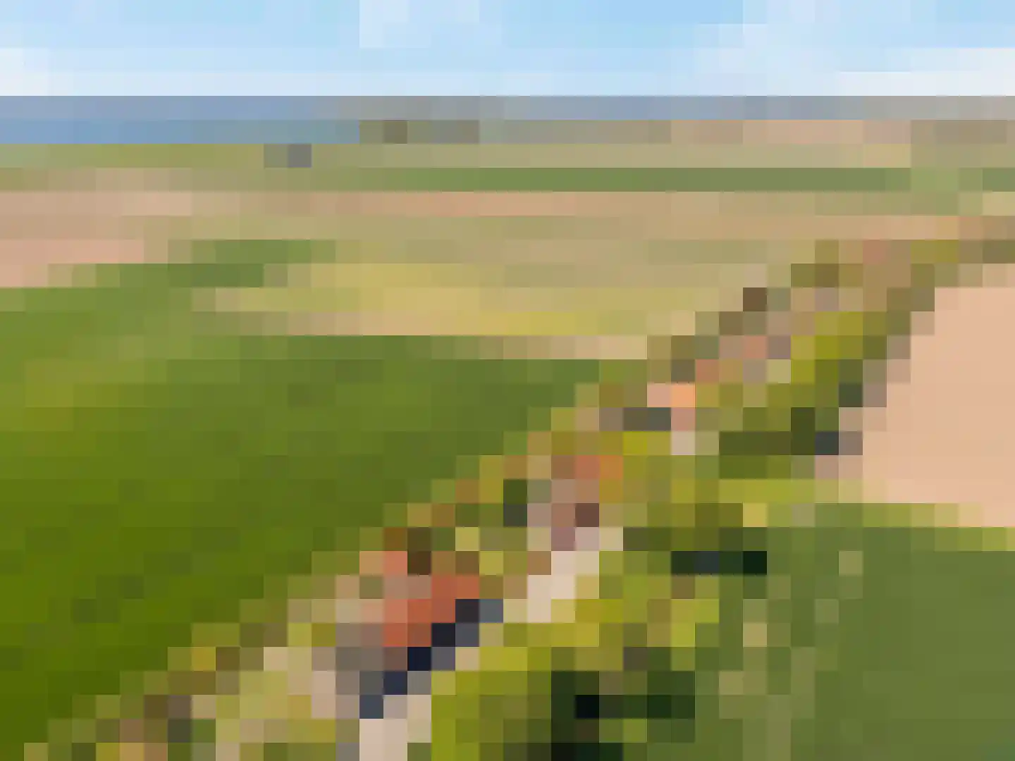 Schenkeldijk 80 Zuid-Beijerland thumbnail 88