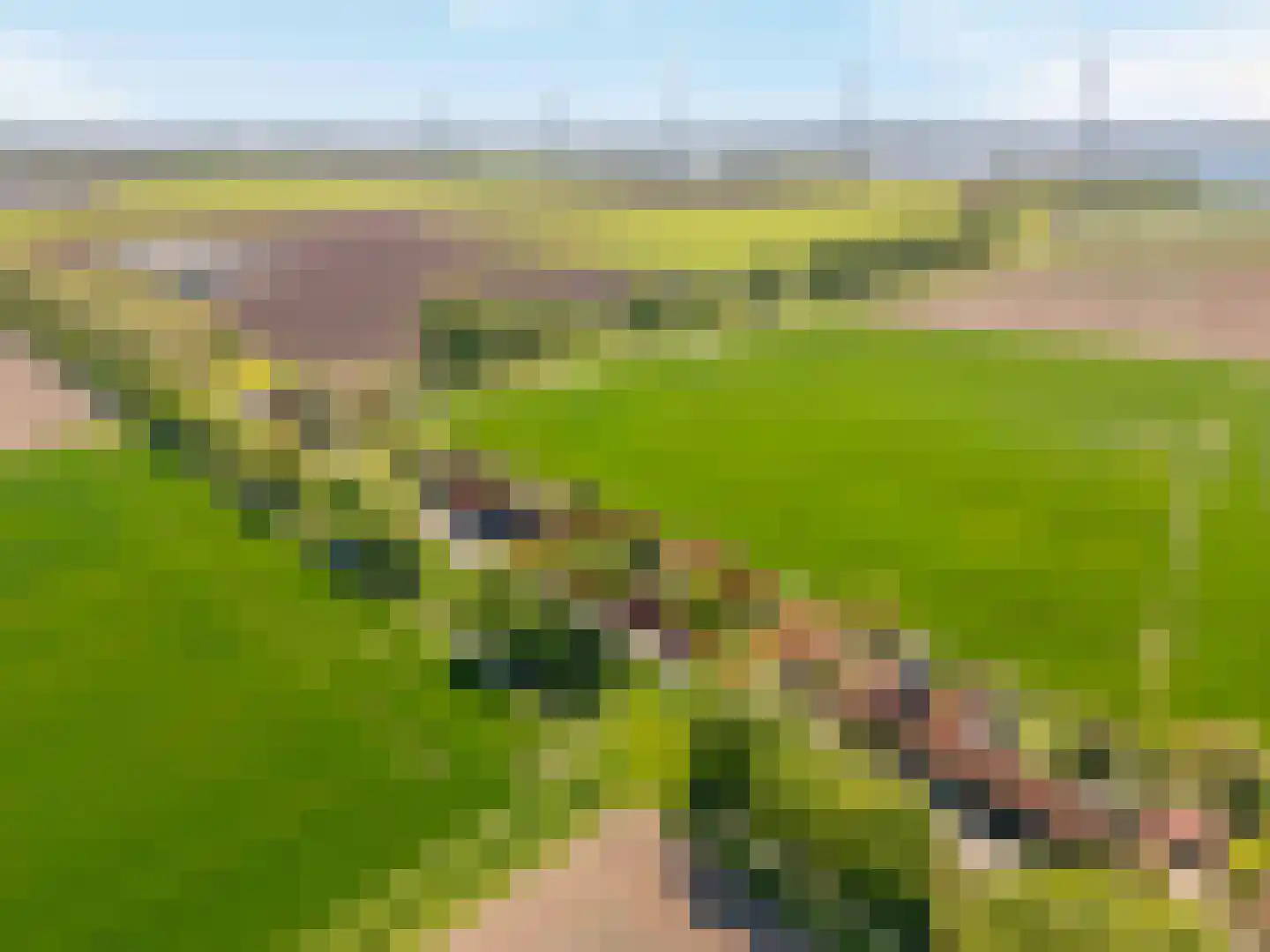 Schenkeldijk 80 Zuid-Beijerland thumbnail 89