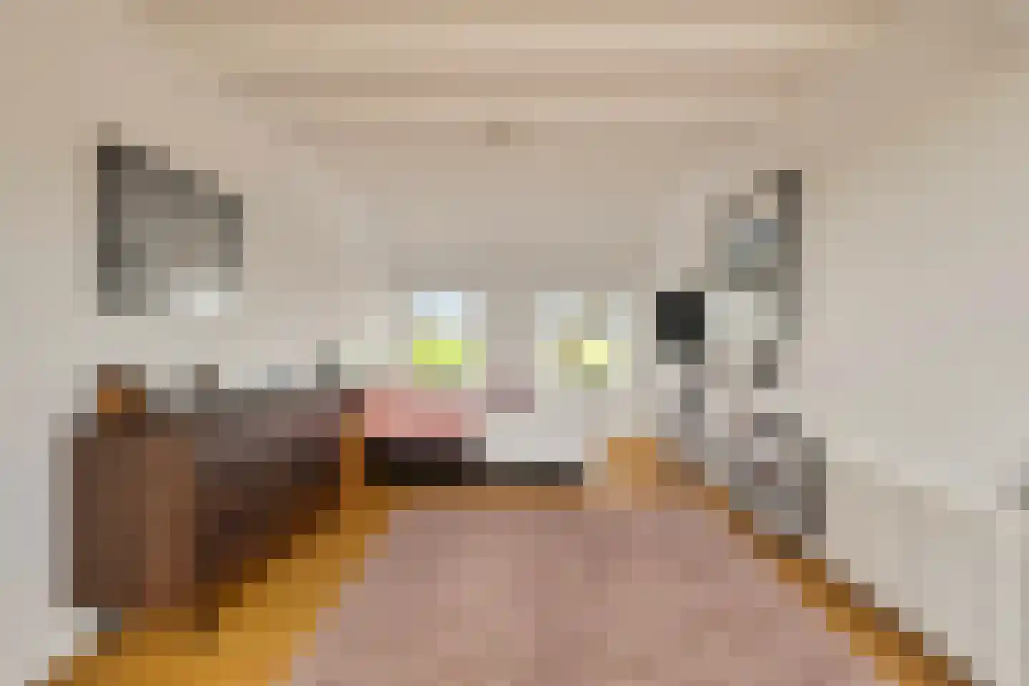 Schenkeldijk 82 Zuid-Beijerland thumbnail 64