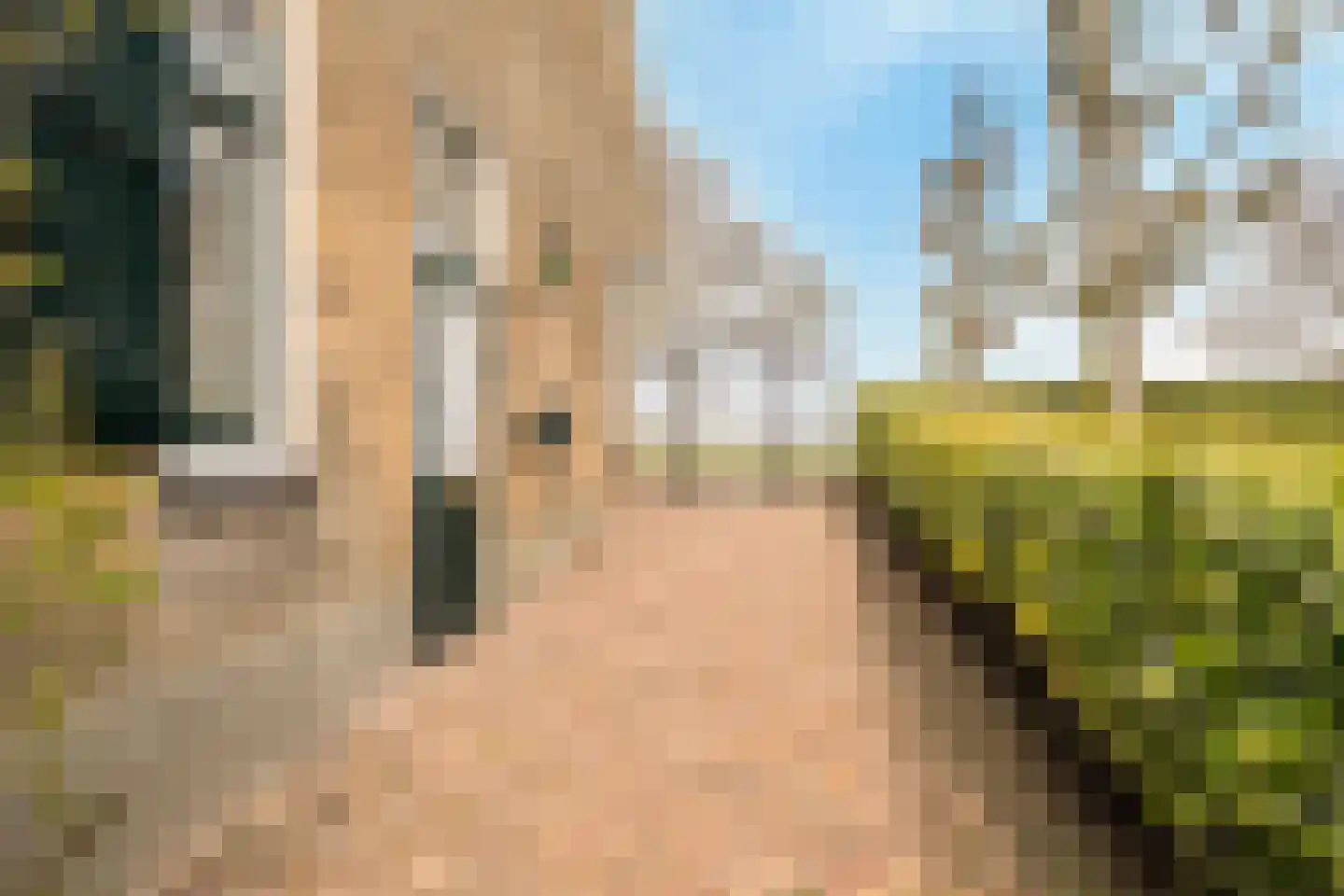 Schenkeldijk 82 Zuid-Beijerland thumbnail 68