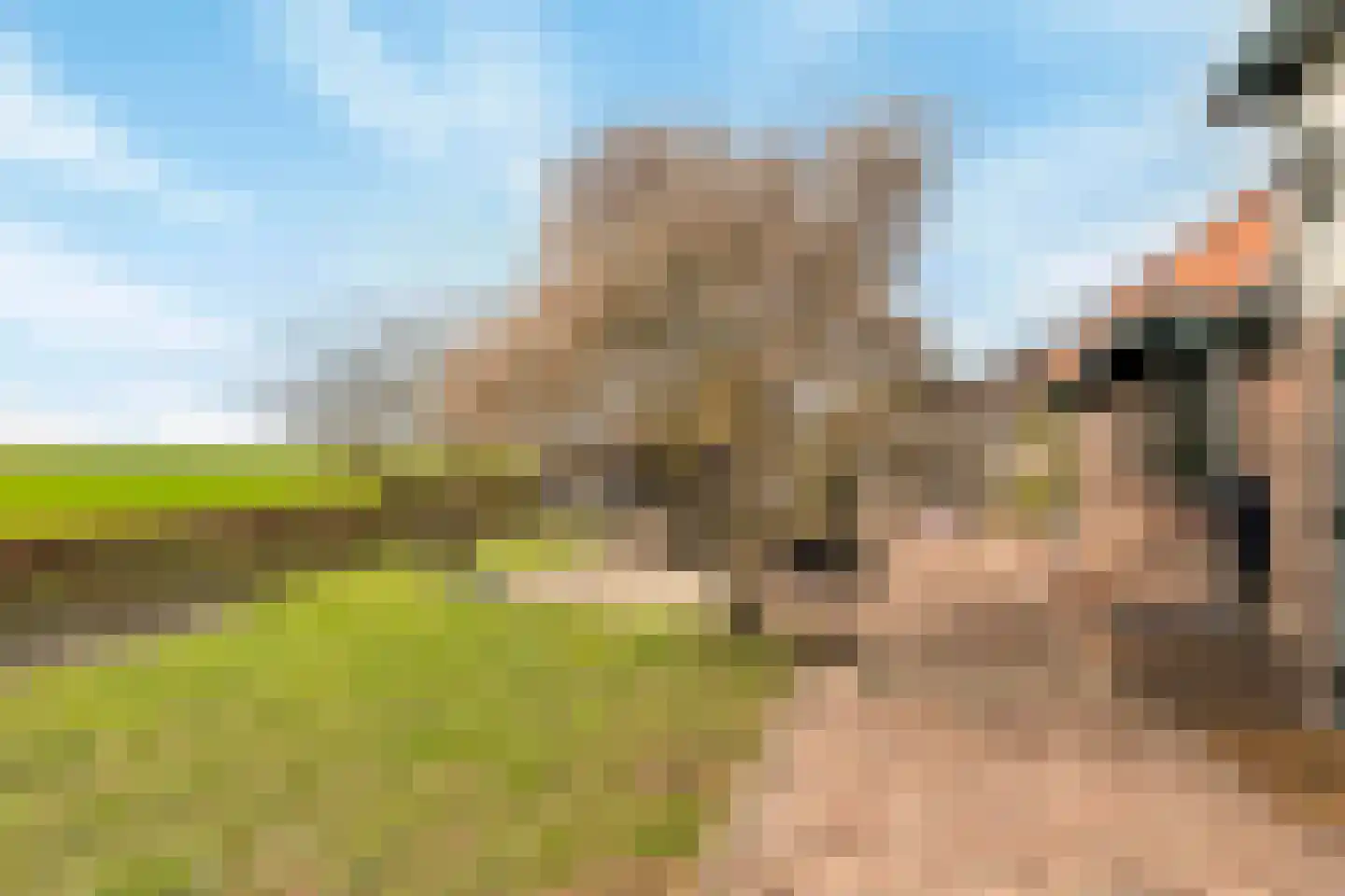 Schenkeldijk 82 Zuid-Beijerland thumbnail 69