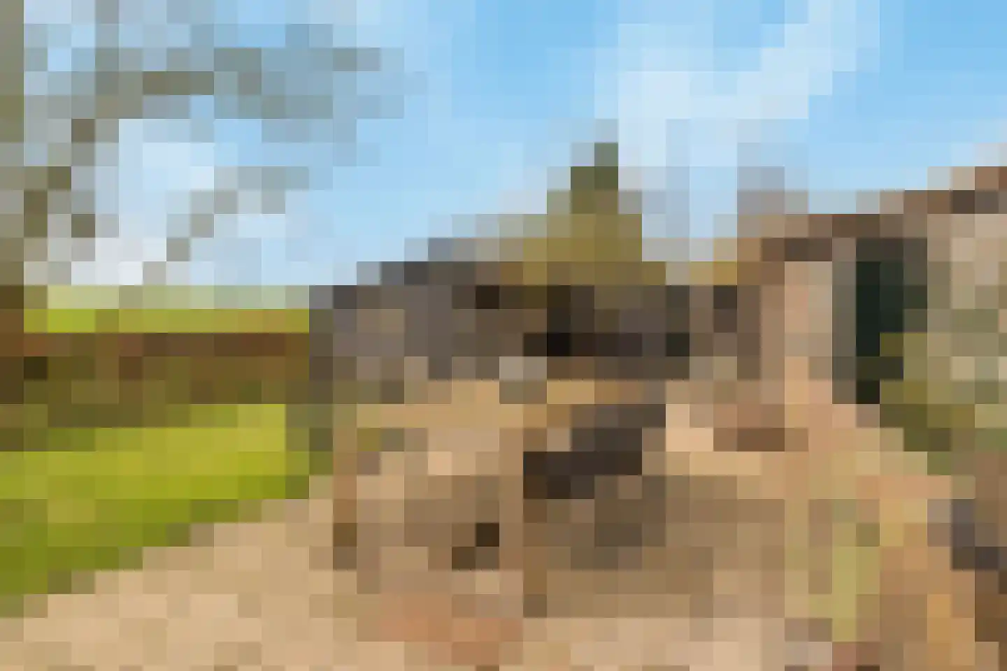 Schenkeldijk 82 Zuid-Beijerland thumbnail 72