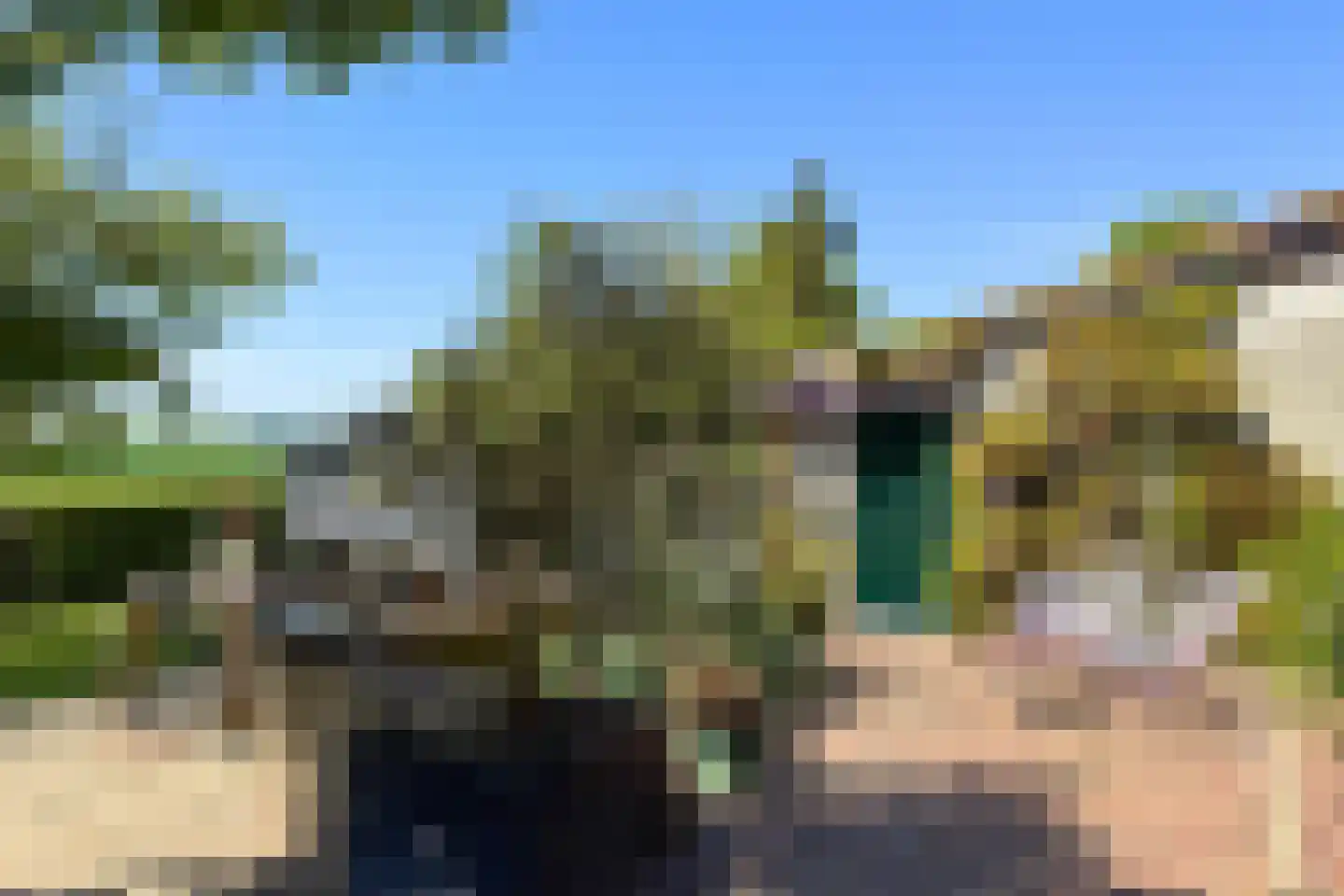 Schenkeldijk 82 Zuid-Beijerland thumbnail 72