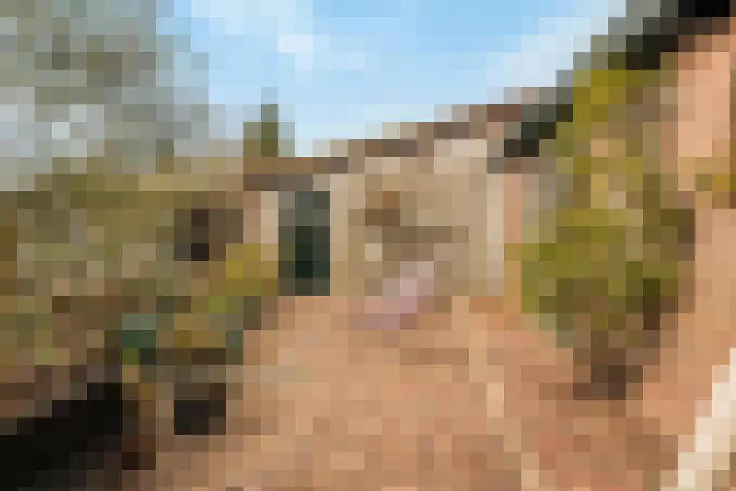 Schenkeldijk 82 Zuid-Beijerland thumbnail 74