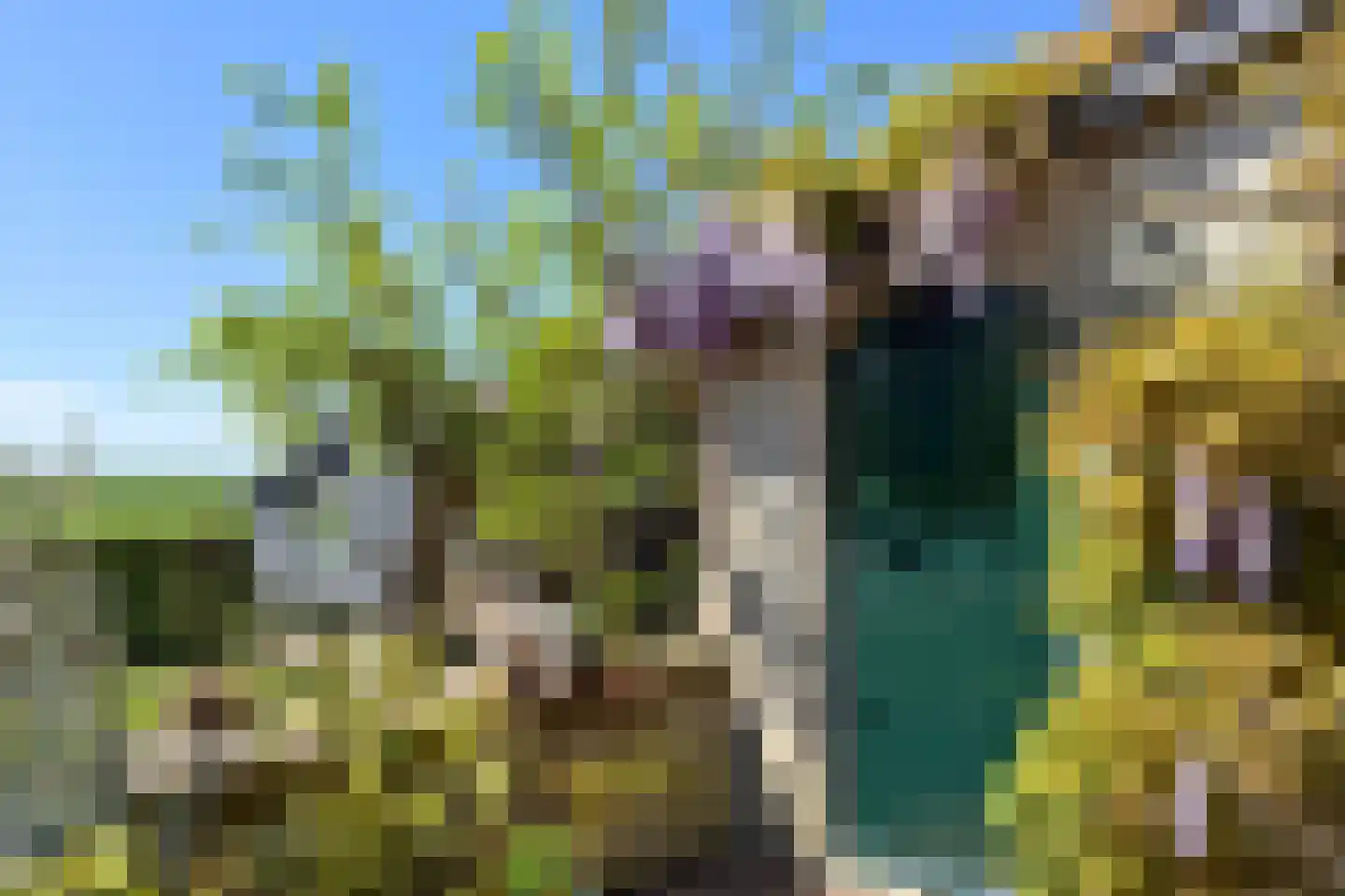 Schenkeldijk 82 Zuid-Beijerland thumbnail 74