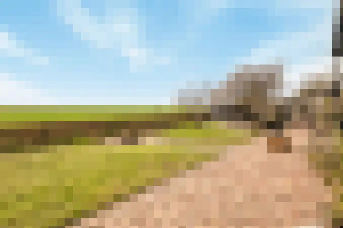 Schenkeldijk 82 Zuid-Beijerland thumbnail 75