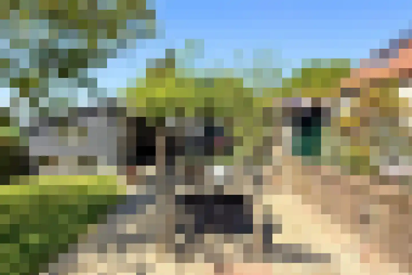 Schenkeldijk 82 Zuid-Beijerland thumbnail 76