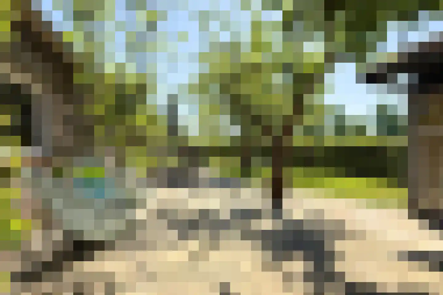 Schenkeldijk 82 Zuid-Beijerland thumbnail 78