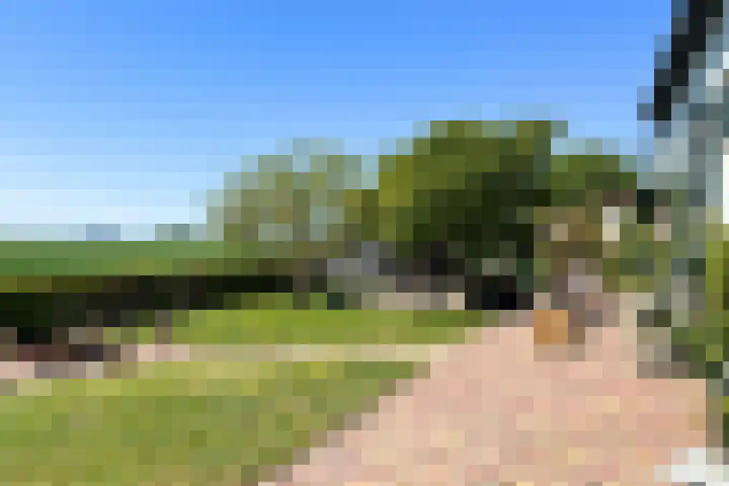 Schenkeldijk 82 Zuid-Beijerland thumbnail 8
