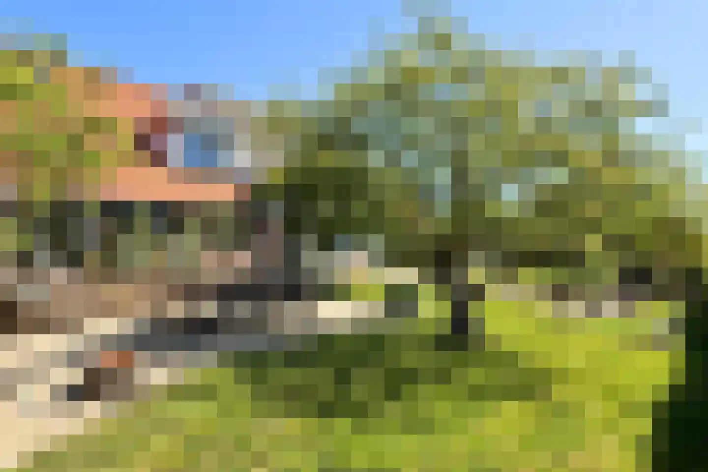 Schenkeldijk 82 Zuid-Beijerland thumbnail 80