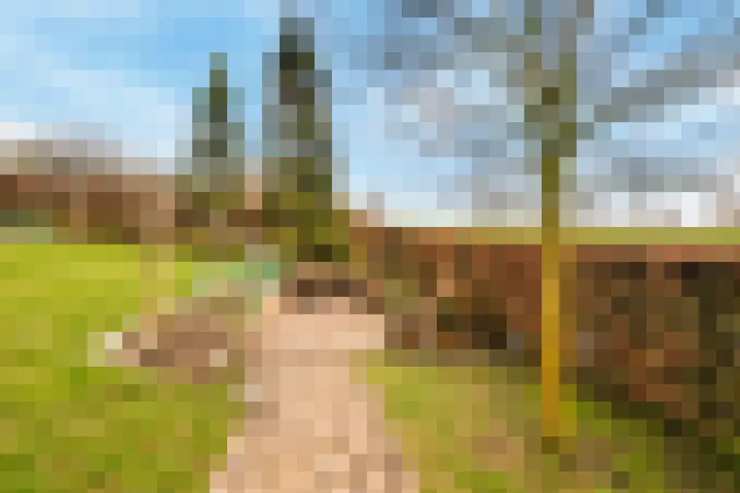 Schenkeldijk 82 Zuid-Beijerland thumbnail 81