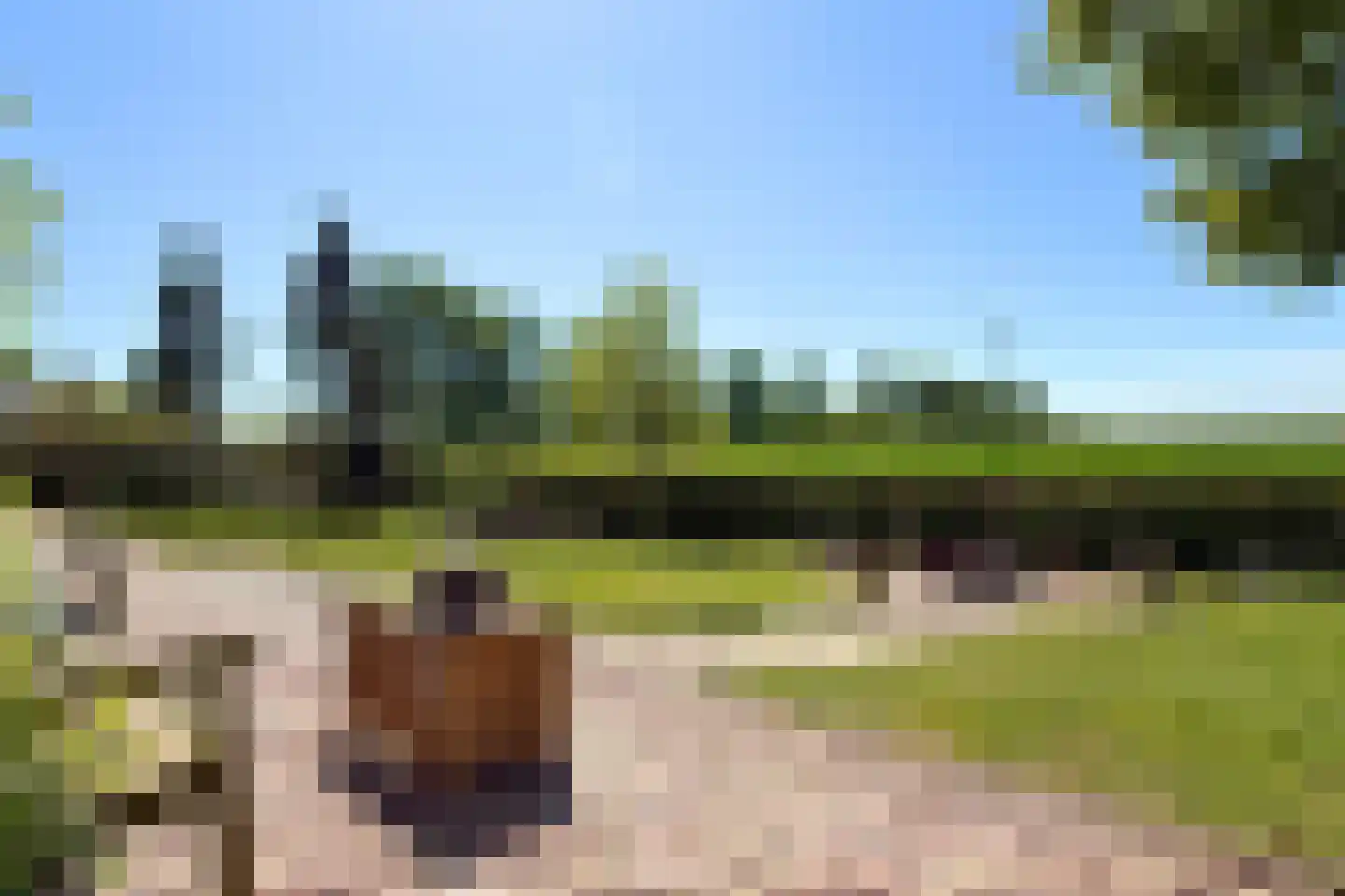 Schenkeldijk 82 Zuid-Beijerland thumbnail 81