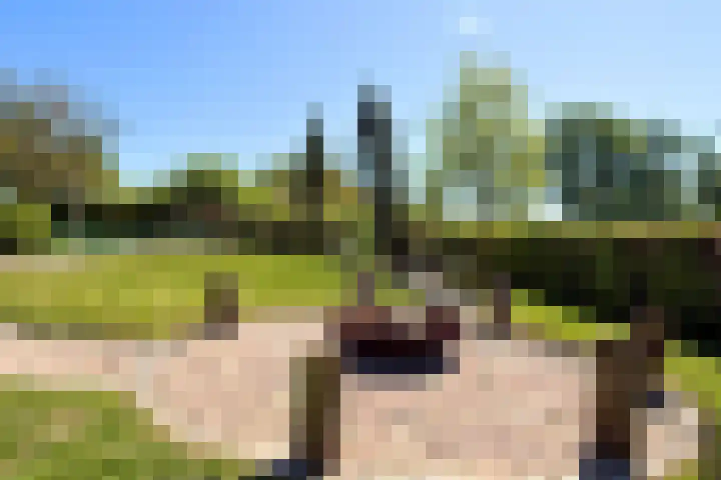 Schenkeldijk 82 Zuid-Beijerland thumbnail 82