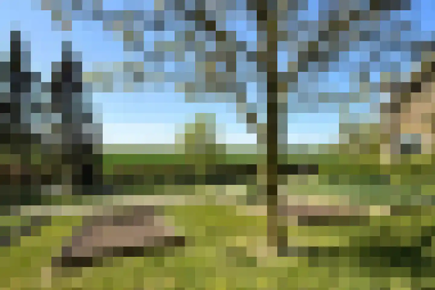 Schenkeldijk 82 Zuid-Beijerland thumbnail 85