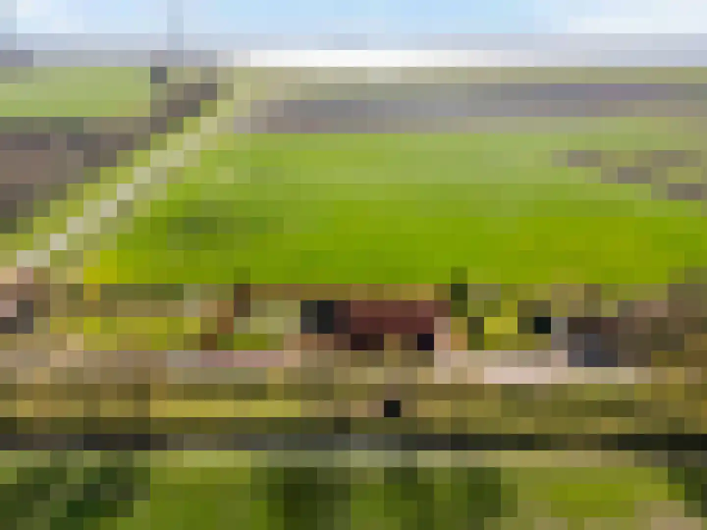 Schenkeldijk 82 Zuid-Beijerland thumbnail 88