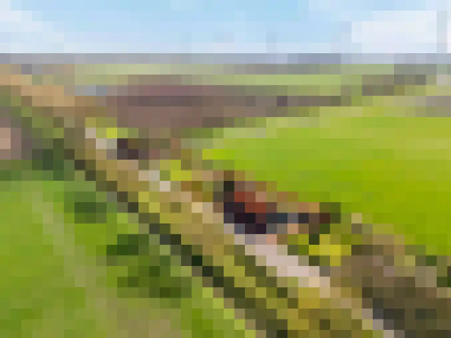 Schenkeldijk 82 Zuid-Beijerland thumbnail 89
