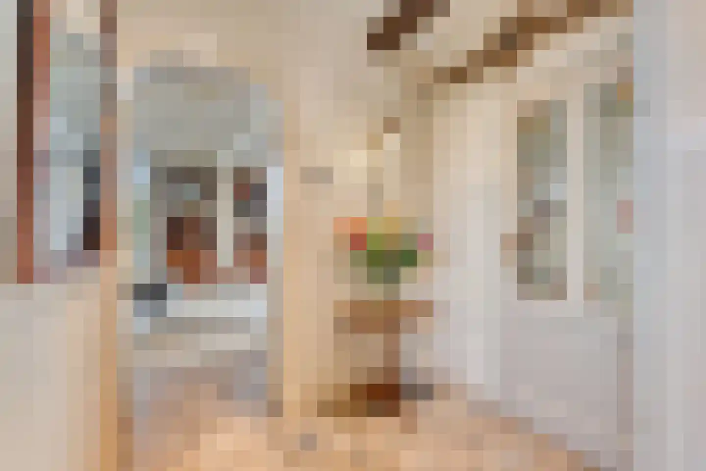 Schenkeldijk 9 Dinteloord thumbnail 10