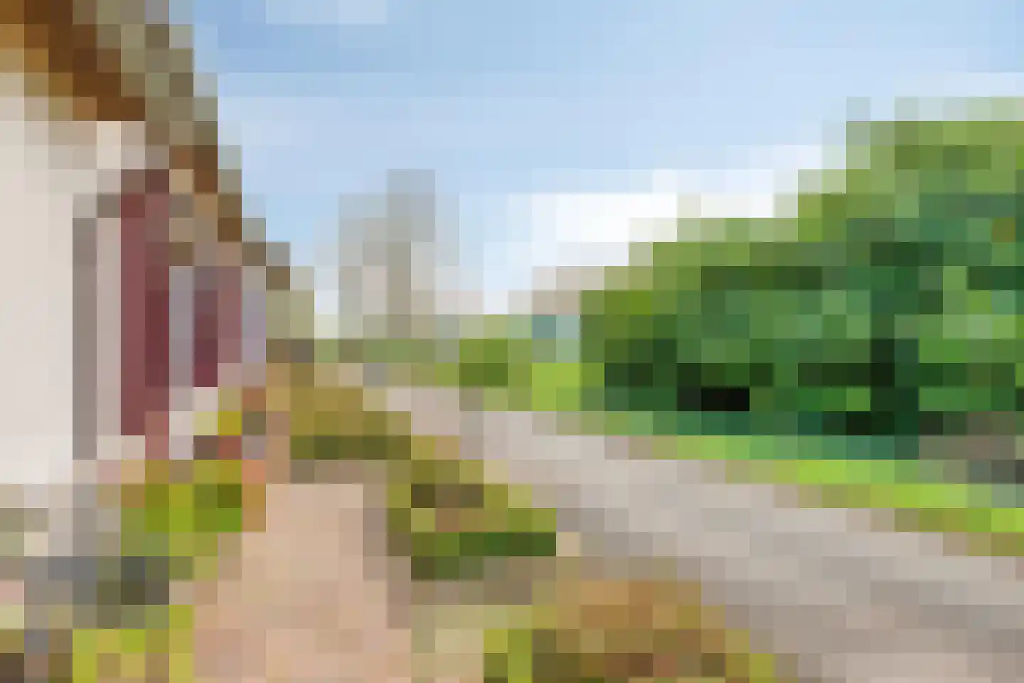 Schenkeldijk 9 Dinteloord thumbnail 102