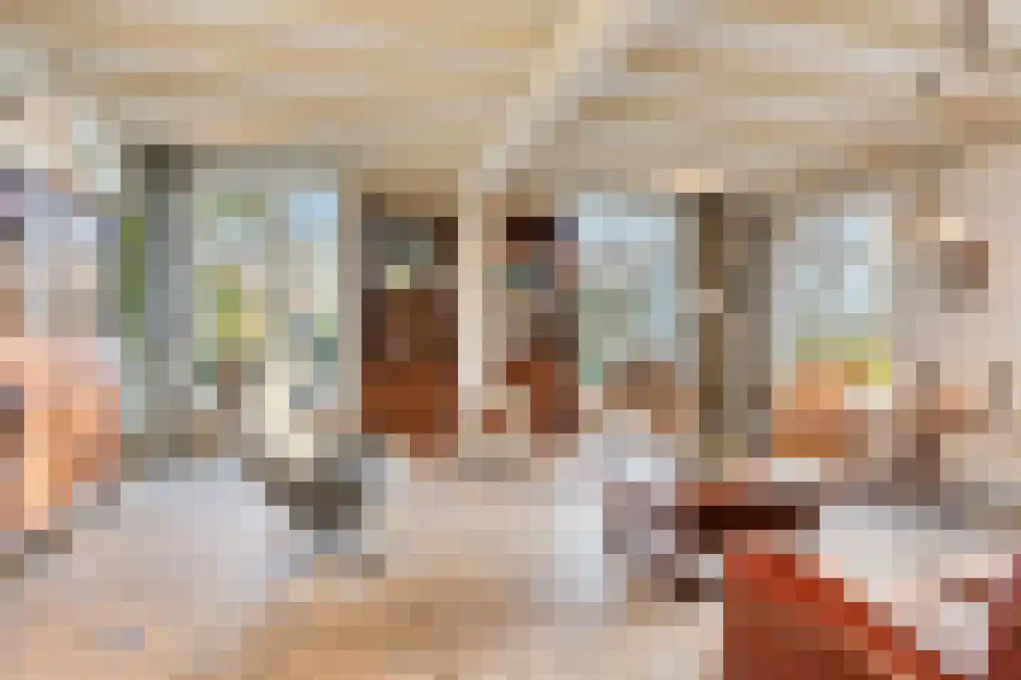 Schenkeldijk 9 Dinteloord thumbnail 11