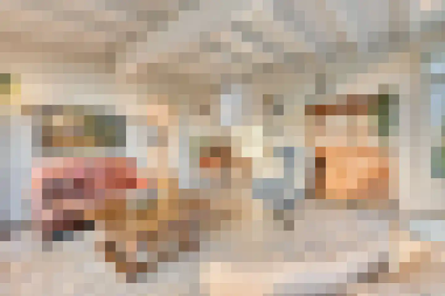 Schenkeldijk 9 Dinteloord thumbnail 12