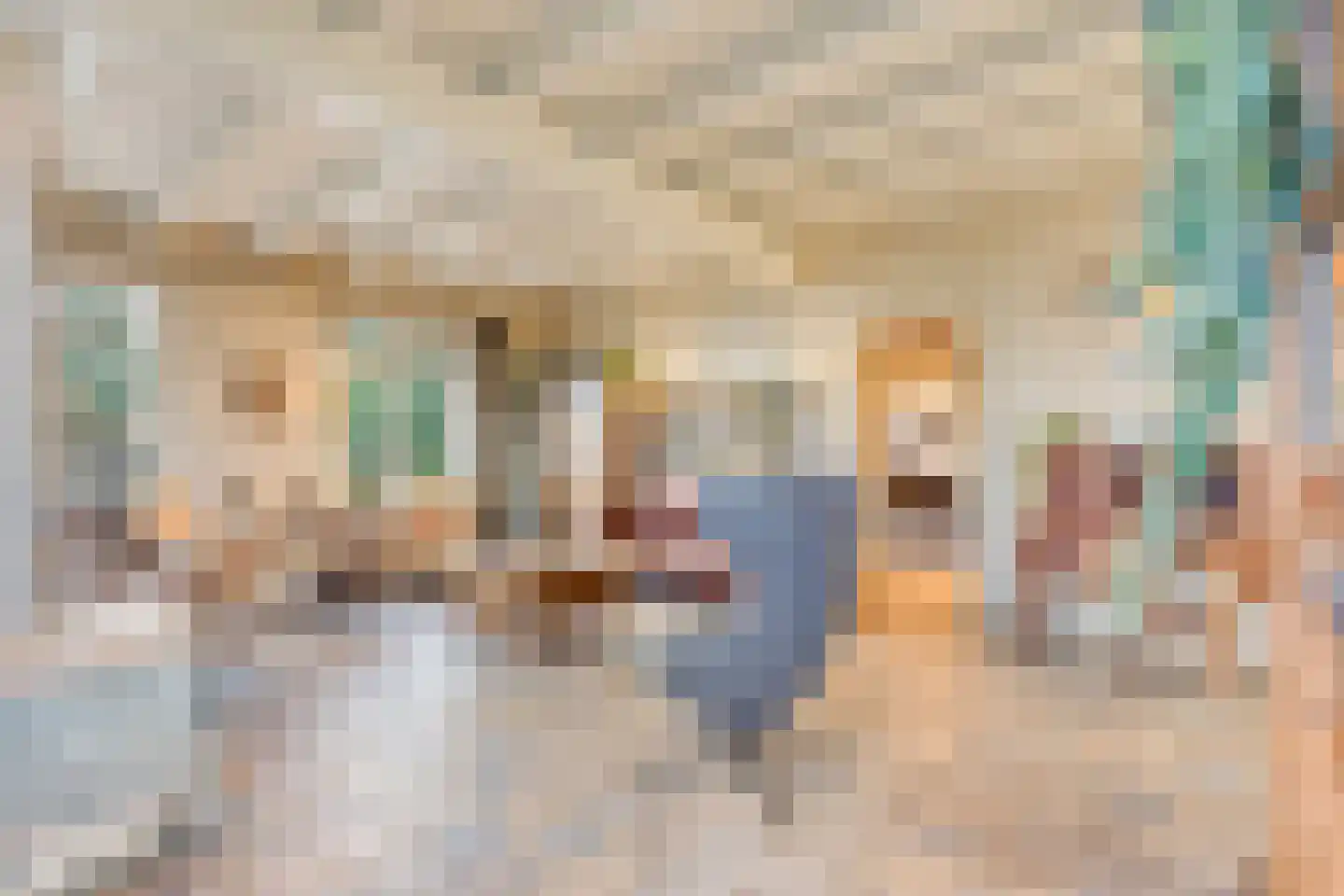 Schenkeldijk 9 Dinteloord thumbnail 13