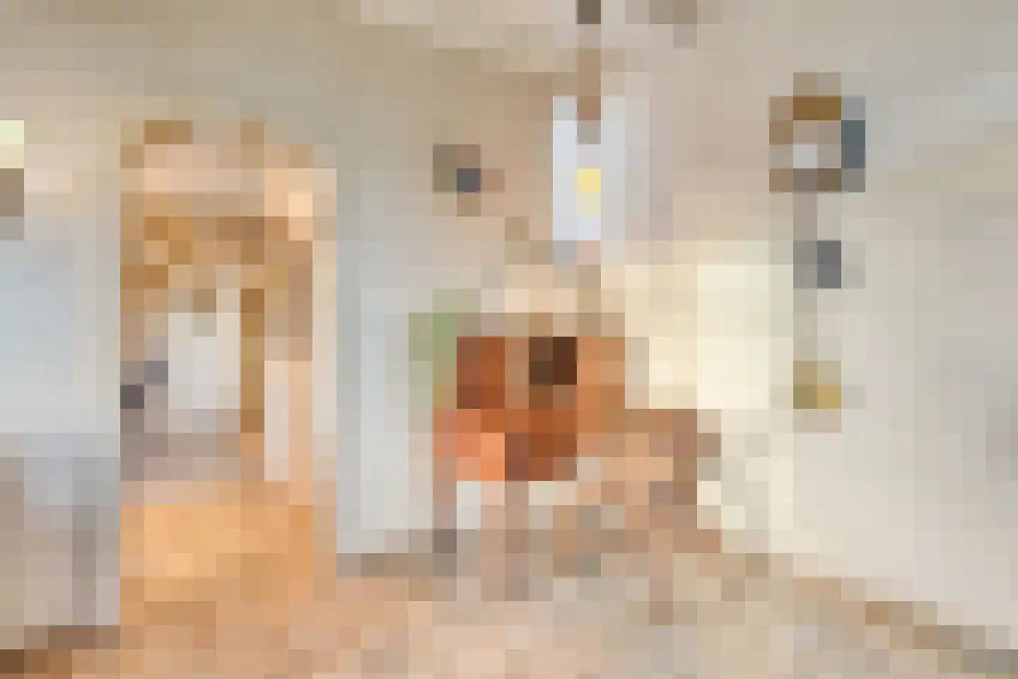 Schenkeldijk 9 Dinteloord thumbnail 15