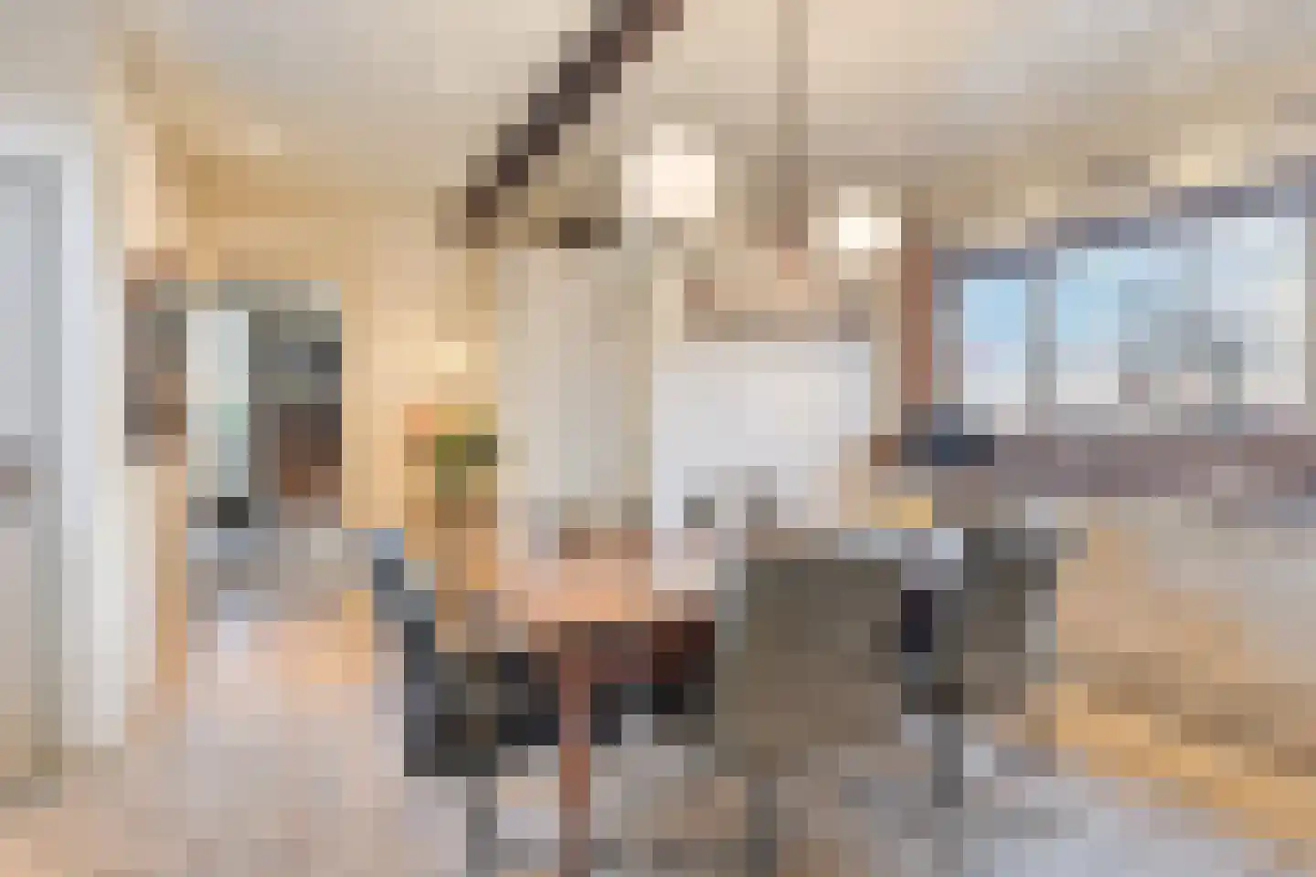 Schenkeldijk 9 Dinteloord thumbnail 18