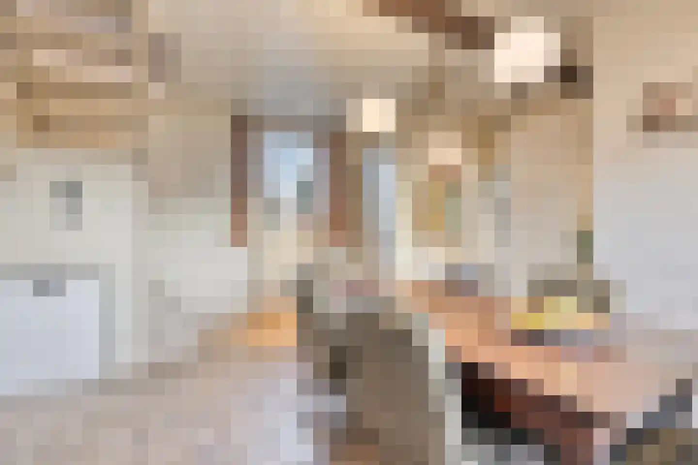 Schenkeldijk 9 Dinteloord thumbnail 19