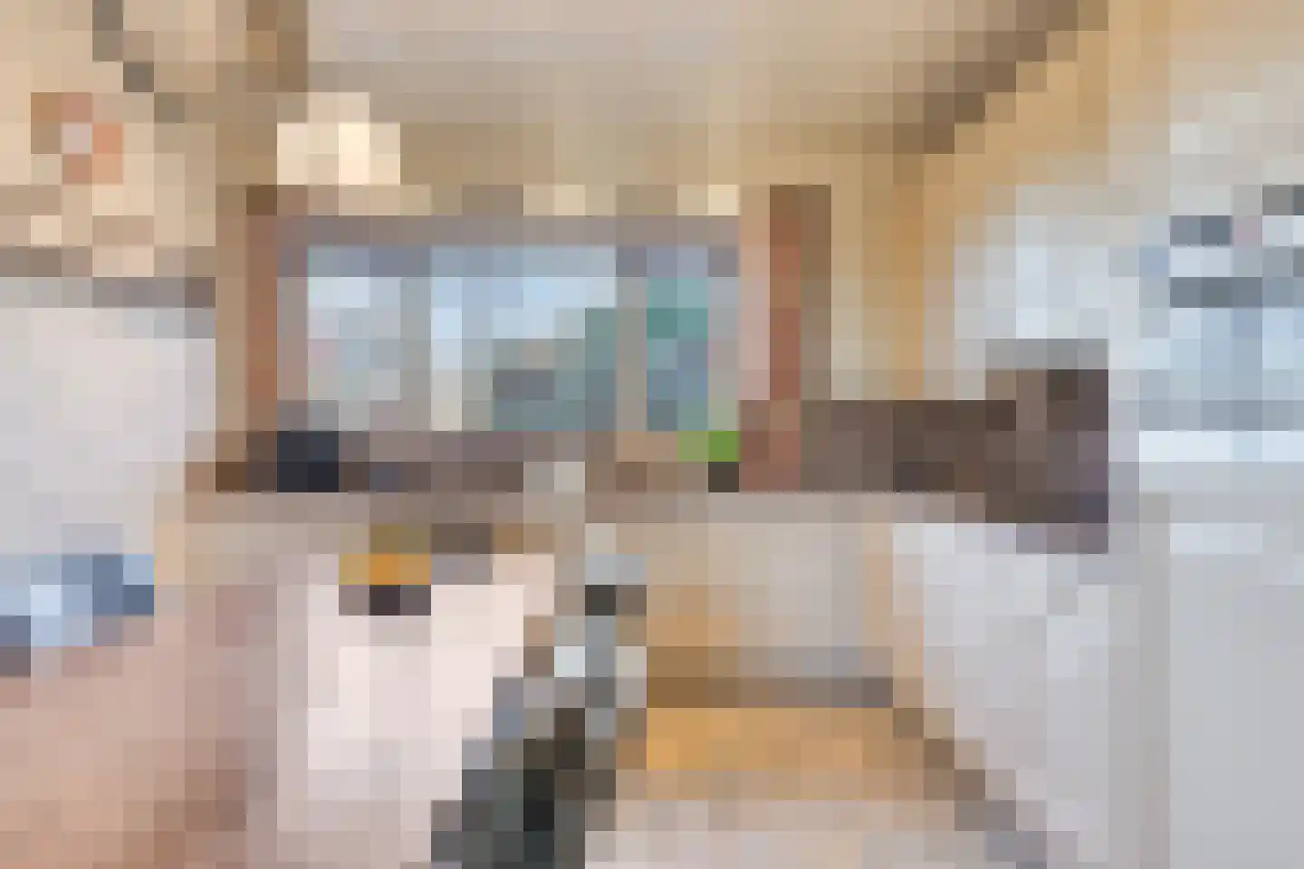 Schenkeldijk 9 Dinteloord thumbnail 21