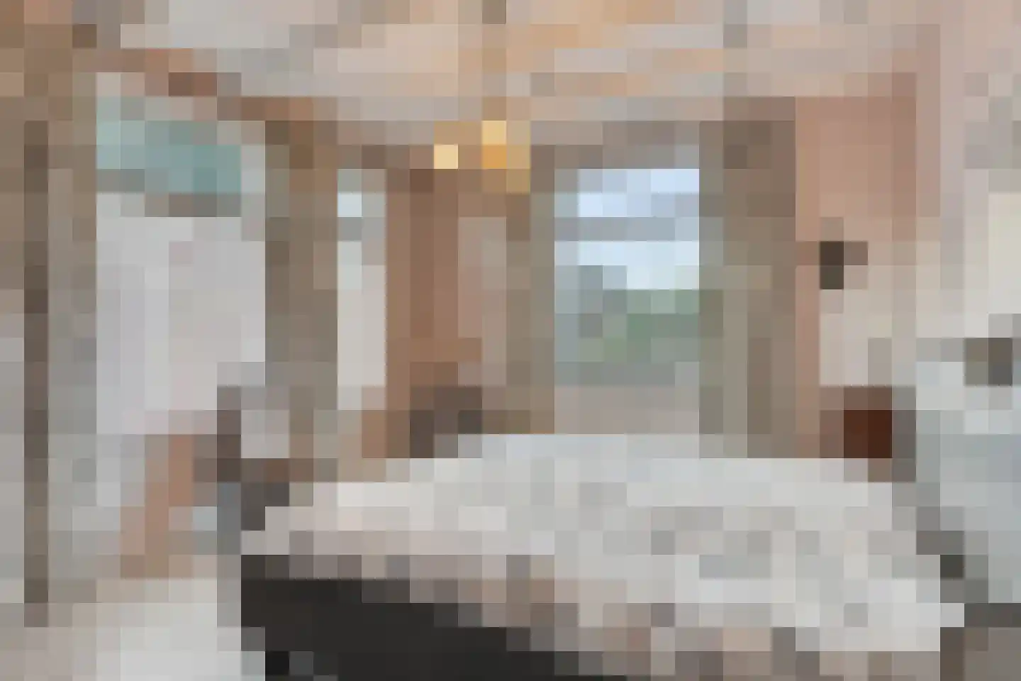 Schenkeldijk 9 Dinteloord thumbnail 25