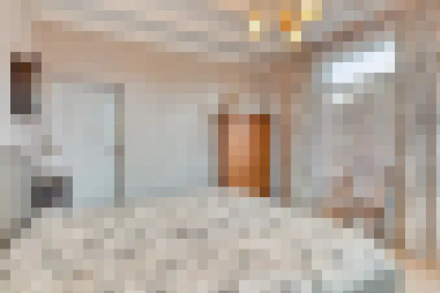 Schenkeldijk 9 Dinteloord thumbnail 26
