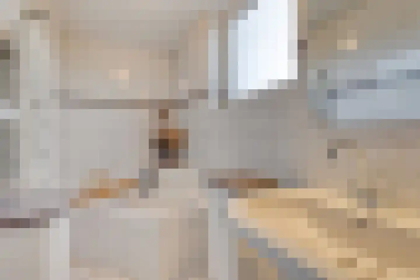 Schenkeldijk 9 Dinteloord thumbnail 27