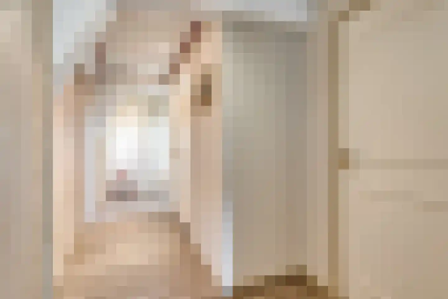 Schenkeldijk 9 Dinteloord thumbnail 29
