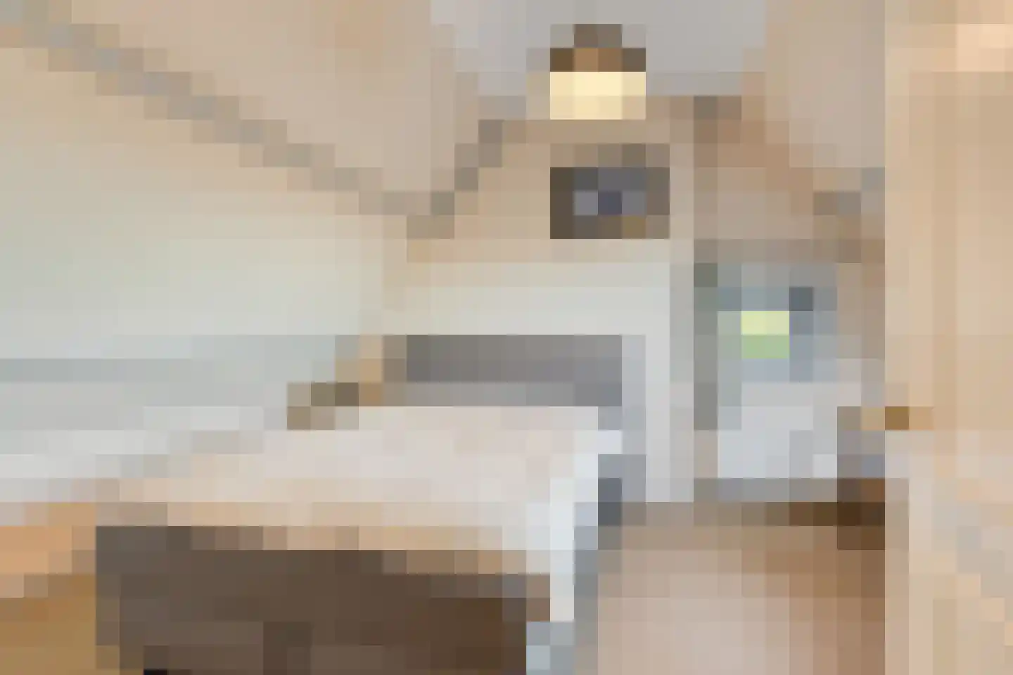 Schenkeldijk 9 Dinteloord thumbnail 31