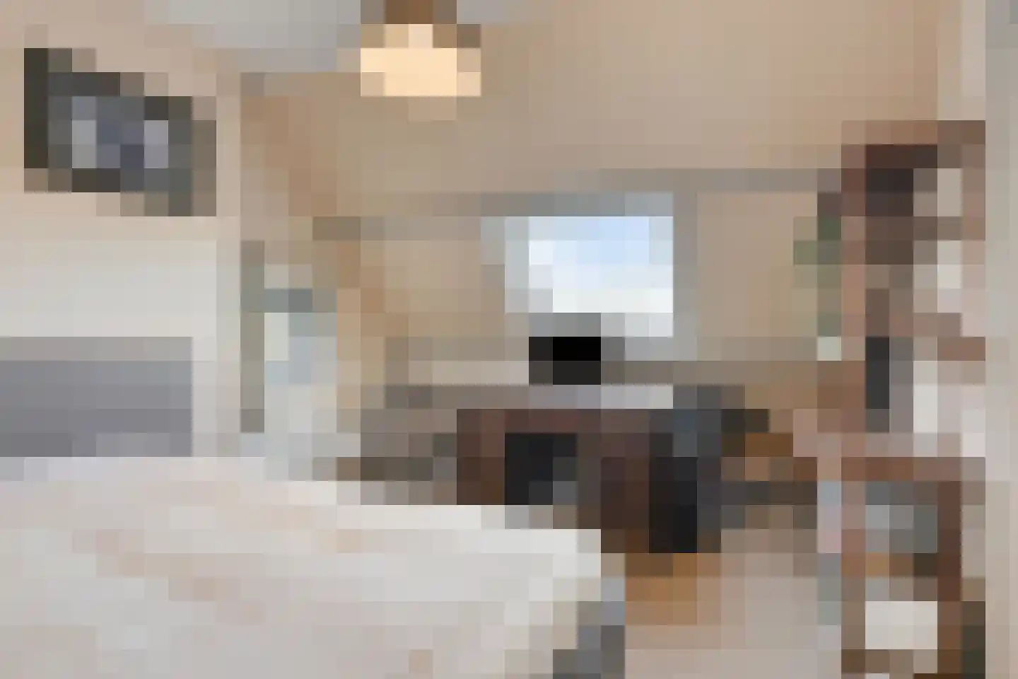 Schenkeldijk 9 Dinteloord thumbnail 32
