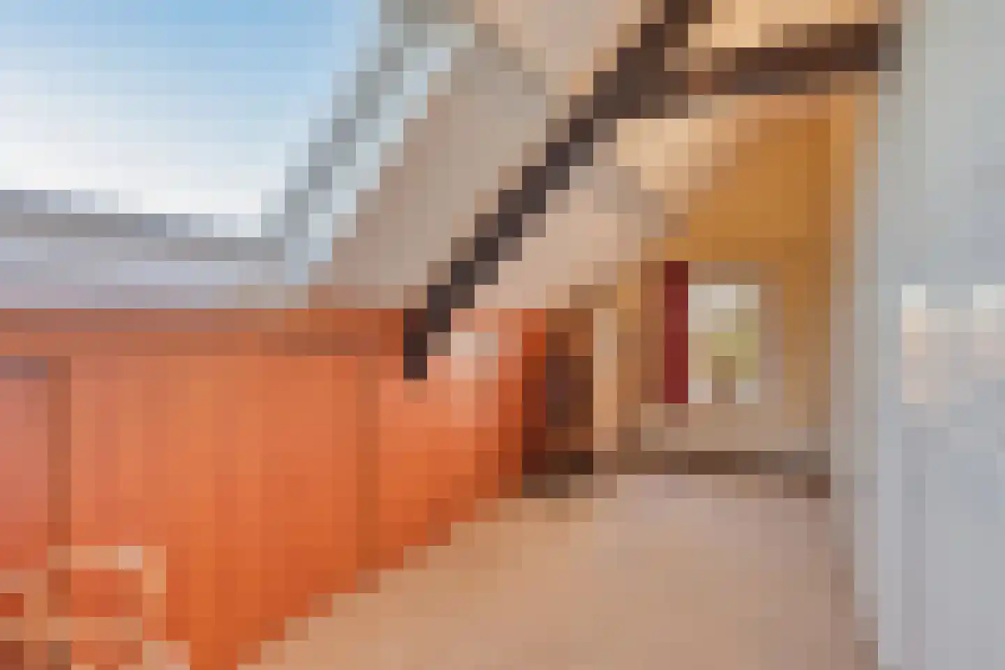 Schenkeldijk 9 Dinteloord thumbnail 35