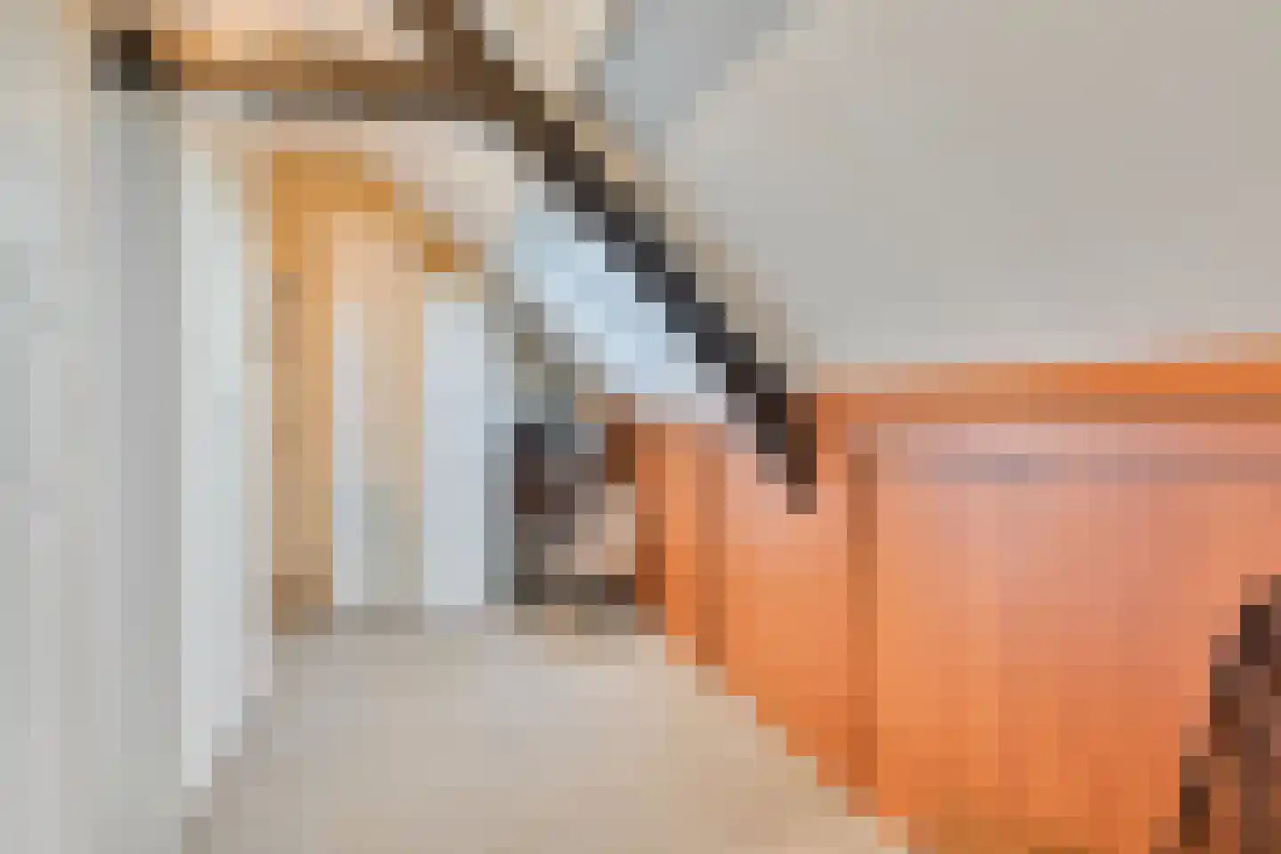 Schenkeldijk 9 Dinteloord thumbnail 36