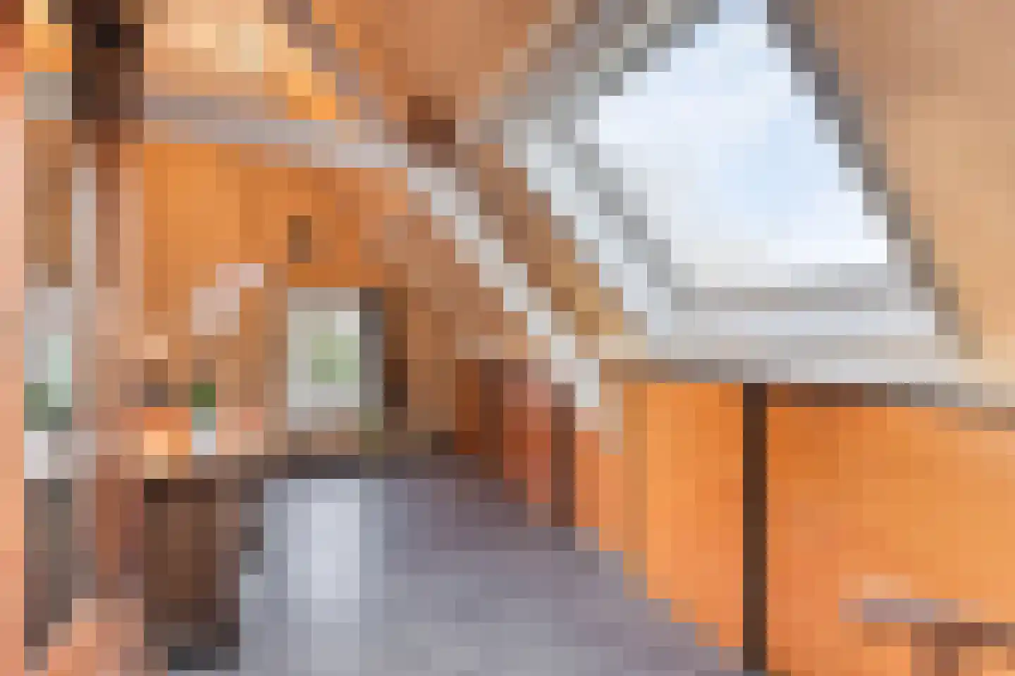 Schenkeldijk 9 Dinteloord thumbnail 37