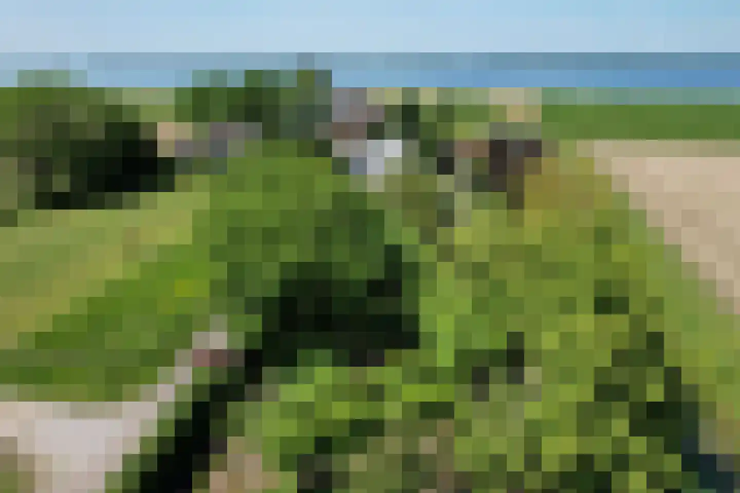 Schenkeldijk 9 Dinteloord thumbnail 39