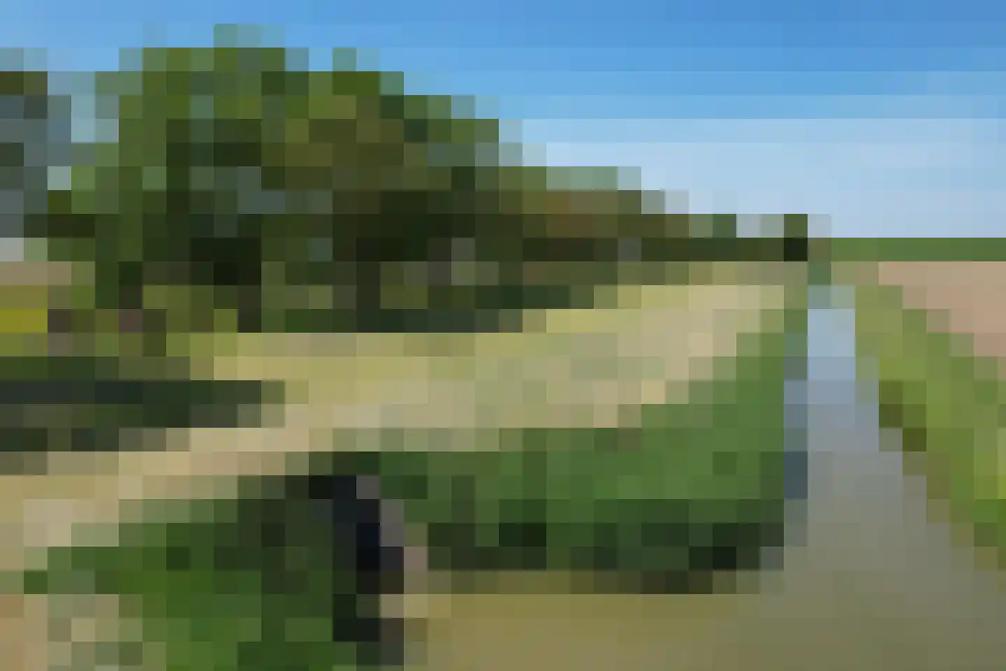 Schenkeldijk 9 Dinteloord thumbnail 4