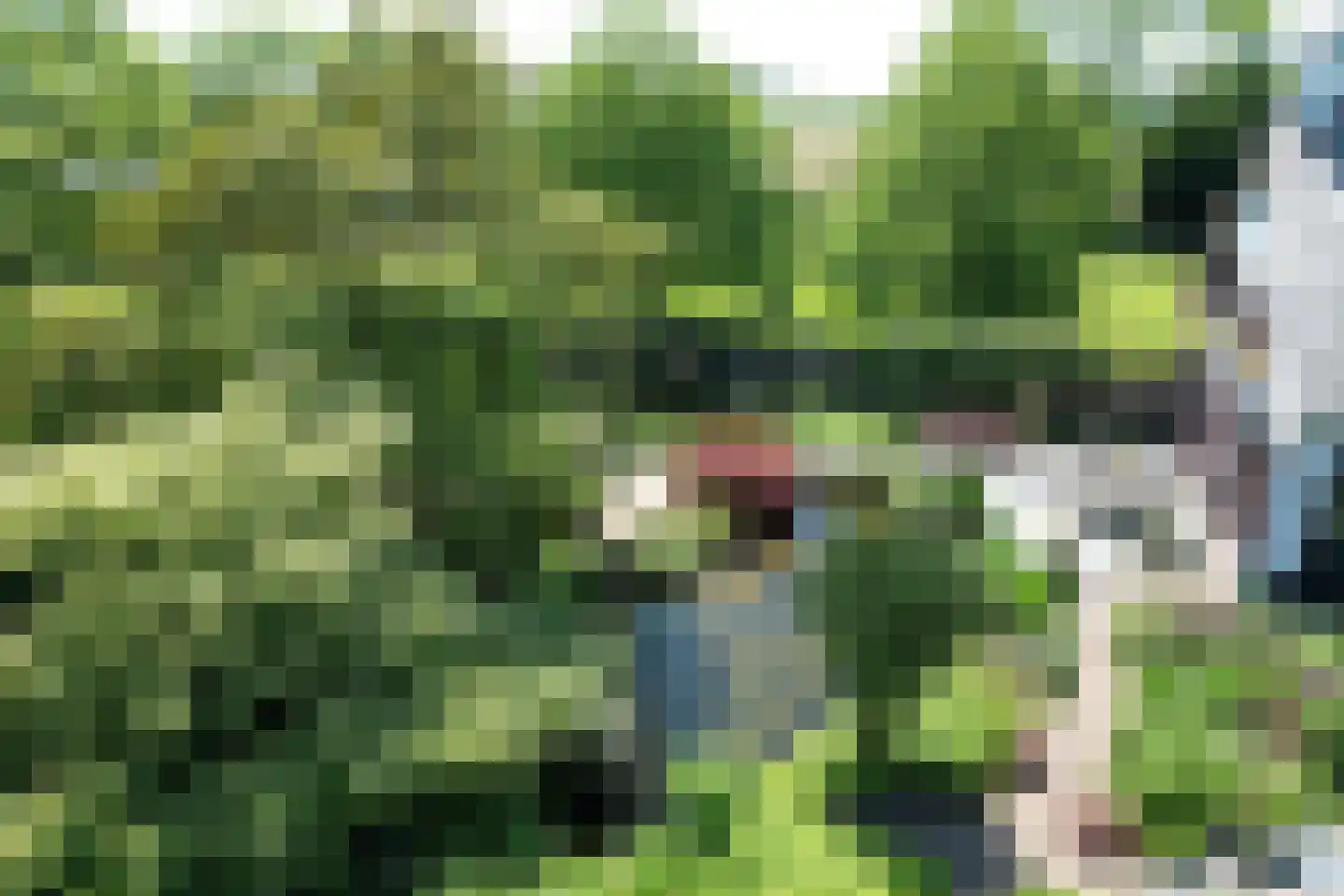 Schenkeldijk 9 Dinteloord thumbnail 40