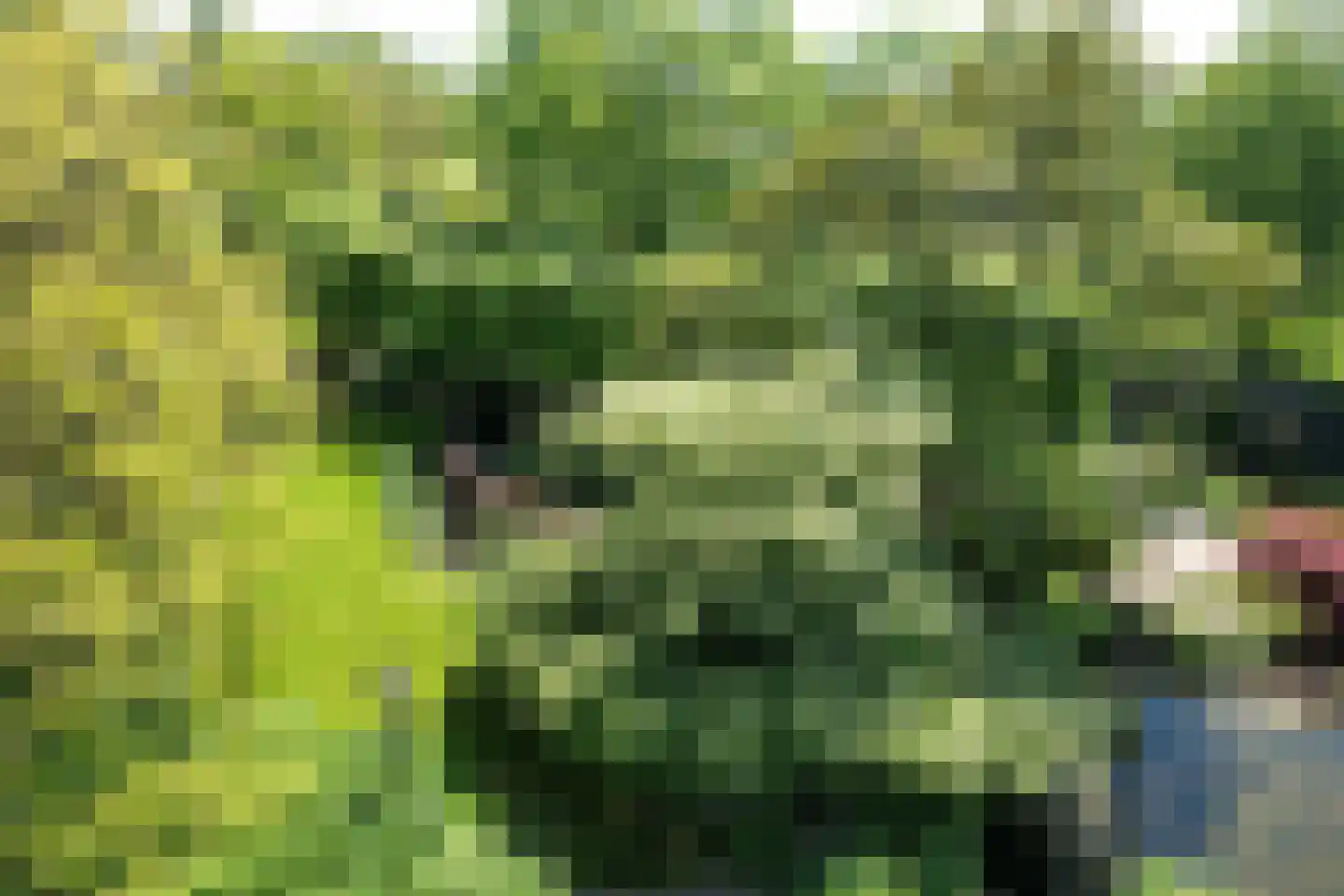 Schenkeldijk 9 Dinteloord thumbnail 41